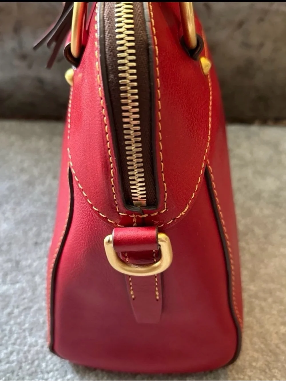 Dooney & Bourke Cameron Satchel in red